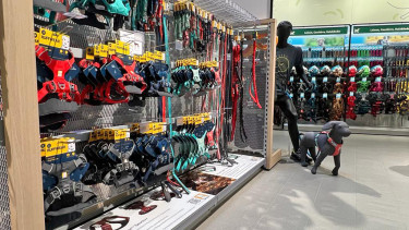 Ruffwear steps it up