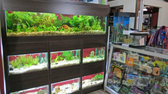 Pet product retailing in South America Pet product retailing in South America