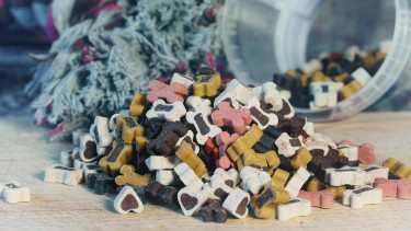 Pet Food Trends 2026 in Romania