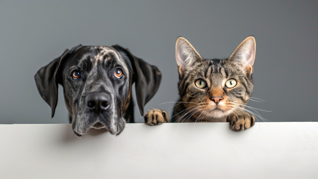 The two-day digital summit with global experts will explore the future of pet nutrition and veterinary care enabled by advanced technologies.