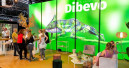 Over 4 000 visitors at Dibevo