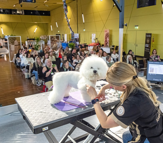 Interzoo