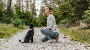 Understanding Germany’s dog owners Understanding Germany’s dog owners