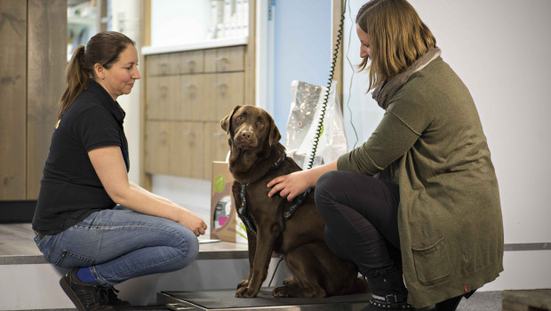 Prins Petfoods is training coaches