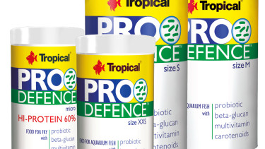 Probiotics in fish food