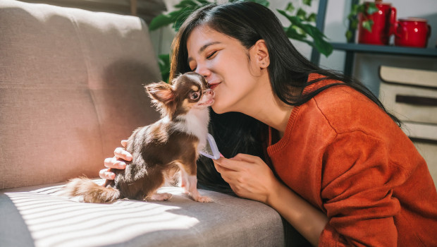 Special day celebrates all the things that make the small dogs in our lives so special.