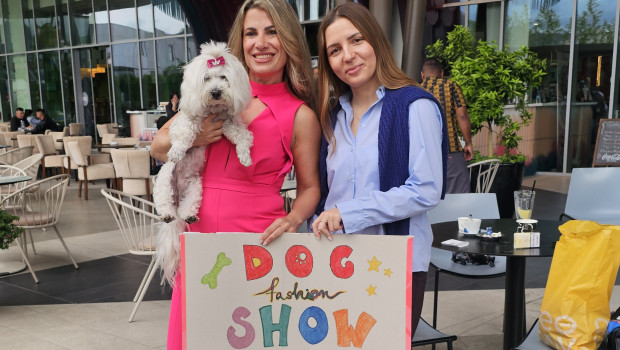 The first dog fashion show was part of a 24-hour-challenge. The first dog fashion show was part of a 24-hour-challenge.