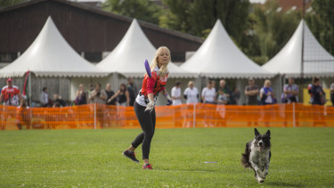 Dog Puller World Championship in Hungary