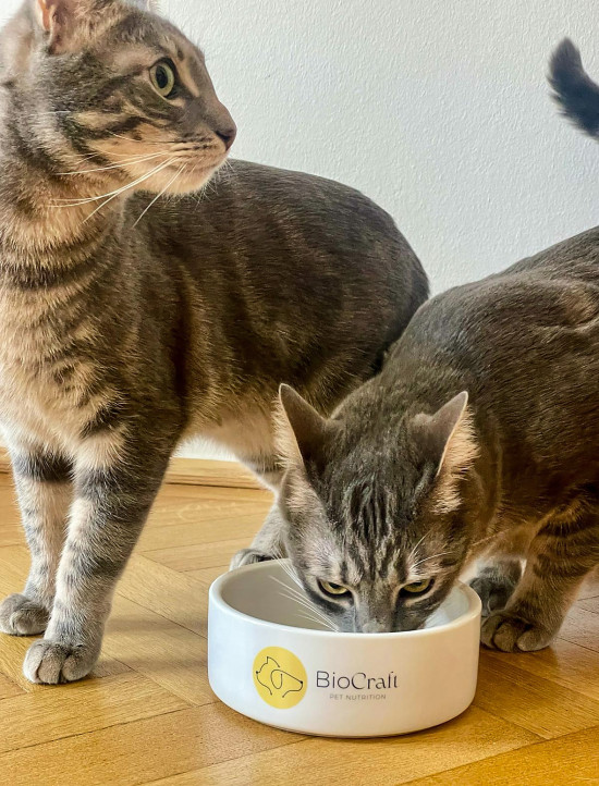 Biocraft Pet Nutrition