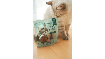 A treat for cats