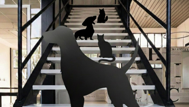 The Pet Design District will take shape in a modern, design-focused venue.