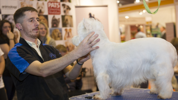 The grooming programme will feature some of the country’s leading groomers. The grooming programme will feature some of the country’s leading groomers.