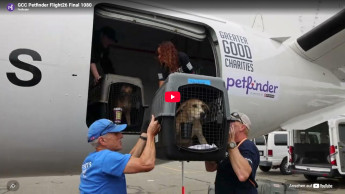 Petfinder turns 30 with meal donation campaign Petfinder turns 30 with meal donation campaign