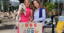 Albanian dog fashion show makes its debut
