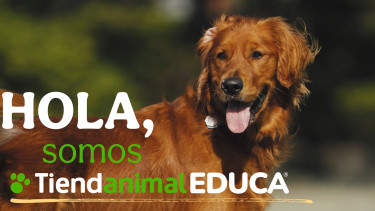 Tiendanimal offers workshops for primary schools again