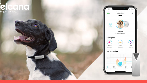 Felcana uses a bespoke modelling process that tracks and monitors the activity and behavioural patterns of individual pets, 24/7.