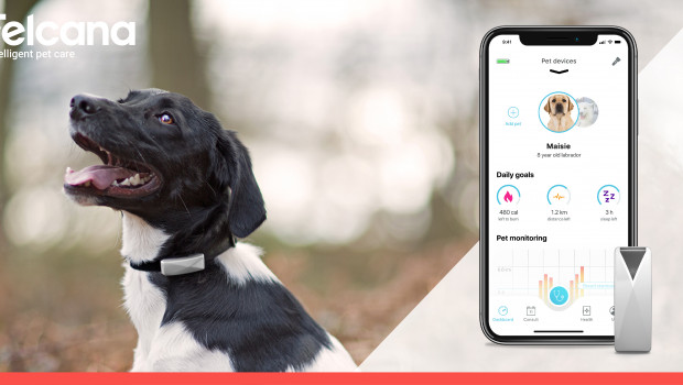 Felcana uses a bespoke modelling process that tracks and monitors the activity and behavioural patterns of individual pets, 24/7. Felcana uses a bespoke modelling process that tracks and monitors the activity and behavioural patterns of individual pets, 24/7.
