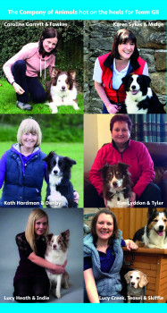 The team comprises five Border Collies, a working Sheepdog and a Beagle.