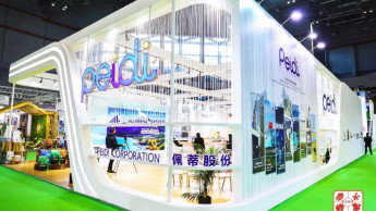 The successful CIPS model