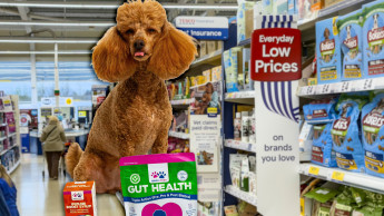 WellPaws becomes first pet supplement brand in Tesco Ireland