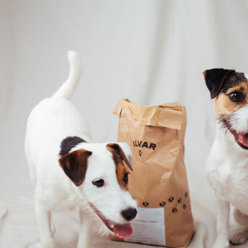 Alvar has now unveiled its low-emission dog food in the German pet supplies market. Alvar has now unveiled its low-emission dog food in the German pet supplies market.