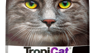 Nutrition for older cats