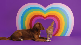 Lily's Kitchen celebrates Pride Month with a limited edition