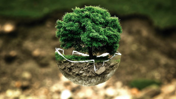 WPA Good Works grant for environmental initiatives
