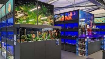 Live pets occupy 60% of the sales area