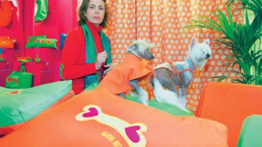 Colour and style for dogs and cats