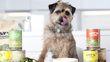 Nestlé Purina acquires Lily’s Kitchen