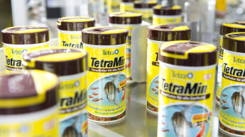 Tetra gains IFS certificate