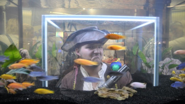 Pictures that will raise a smile