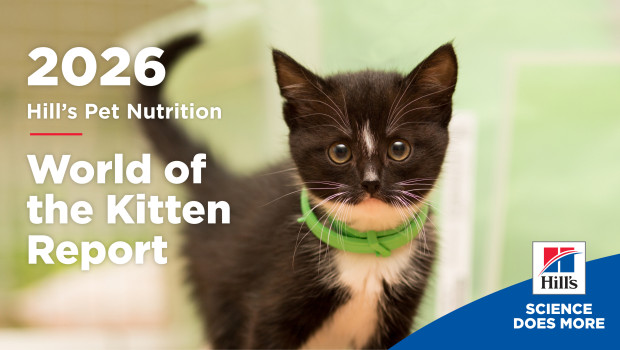 The World of the Kitten Report by Hill’s Pet Nutrition was created as an evidence-based guide for pet parents, veterinary professionals, caregivers and animal welfare organizations.