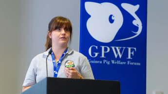 Guinea Pig Welfare Forum addresses key challenges Guinea Pig Welfare Forum addresses key challenges