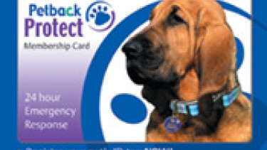 Pet reunification: On-pack promotion