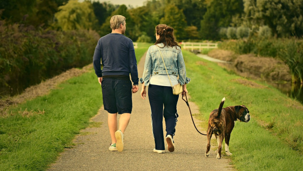 Pets at Home calls on all dog holders to keep walking this winter to help combat rising obesity rates. 