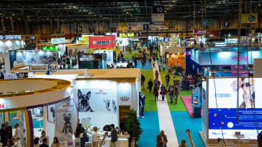 In the heart of Spain