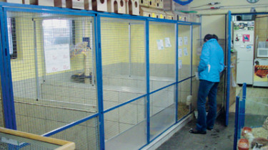 For animals, against trade?