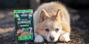 Innovation: gently steam-cooked wet food