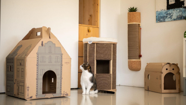The start-up Søde Design wants to go to market with stylish cat furniture.