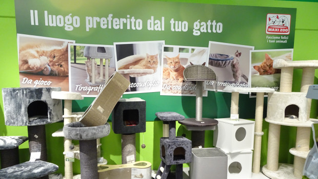 Following the merger with Arcaplanet, the Maxi Zoo stores in Italy will soon cease to exist.