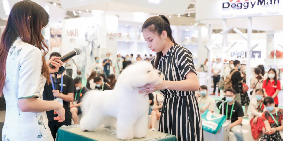 China’s pet sector, 
