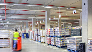 The ten biggest pet food companies