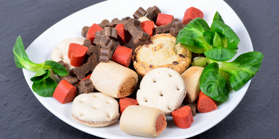 A dog’s daily diet is becoming increasingly diverse. Photo: fotolia.com @ Simone Werner-Ney
