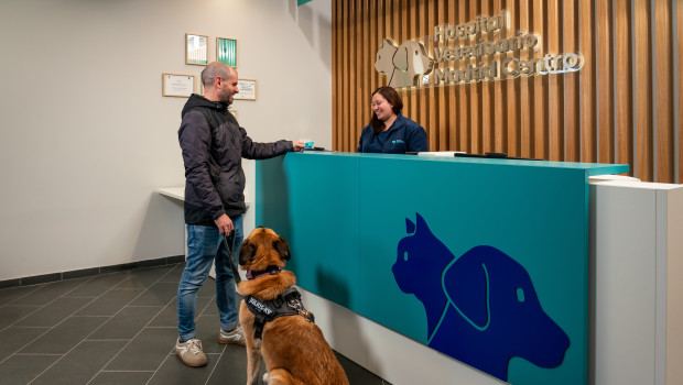 Cutting-edge technologies designed to safeguard animal health are what set this modern veterinary hospital in Spain’s capital apart.