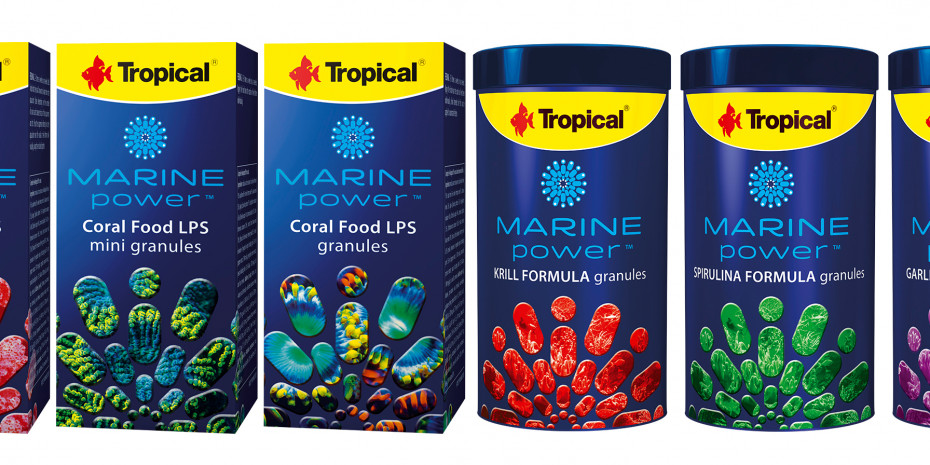 Tropical, Marine Power
