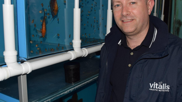 Staff reinforcement at World Feeds