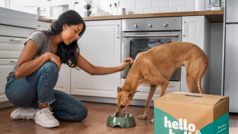 Most European D2C pet food brands are self-funded, report finds