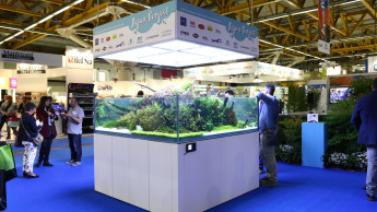 Zoomark becomes even more cosmopolitan
